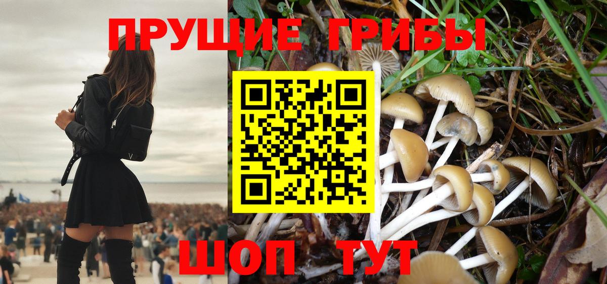 Галлюциногенные грибы Psilocybe  Галлюциногенные грибы Magic Shrooms  Рассказово  Вход с VPN 