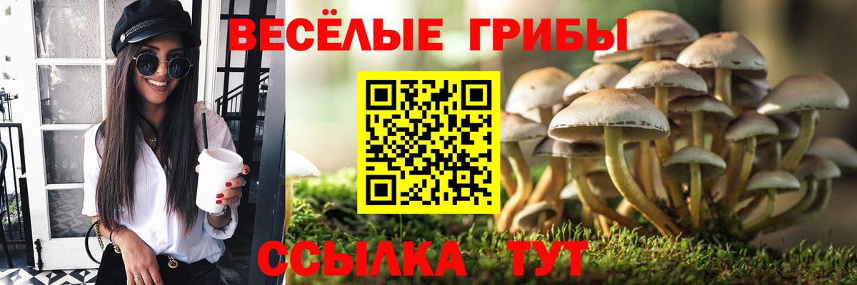 ТГК  ГЕРОИН  ЭКСТАЗИ  Конопля  Рассказово  ГАШИШ  Мефедрон  Вход с VPN  МЕФ   COCAIN  Alpha PVP СК кристаллы 